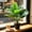 MulticolorB, variant on Artificial Leaf Fake Variegated Faux Perennial Plants Bush House Plant Outdoor Shrubs for Vase Bouquets Home Office Wedding Garden Decor.