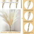 thumbnail image 3 of Garvee 4 pcs Extra Large Faux Pampas Grass Decor, 44 Inch Large Tall Fluffy Artificial Pampas Grass for Wedding Boho Home Decor, Beige, 3 of 8