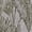 Areca, variant on Safavieh Resort Indoor/Outdoor Rug Collection, 6' 7" x 9'