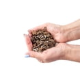 thumbnail image 4 of Gardenera Labs Professional Succulent Soil Premium All Purpose Blend | Pre-Mixed Ready to Use for Cactus and Succulents | Sphagnum Peat Moss, Perlite, New Zealand Pine Bark - Made in USA - 4 Quart, 4 of 8