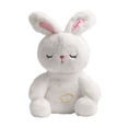 thumbnail image 2 of HUASHENG Arrily Calming Arrily Anxiety Arrily Restotter Anxiety Arrily Sleep Double Adjustable Volume Music To Soothe, 2 of 5