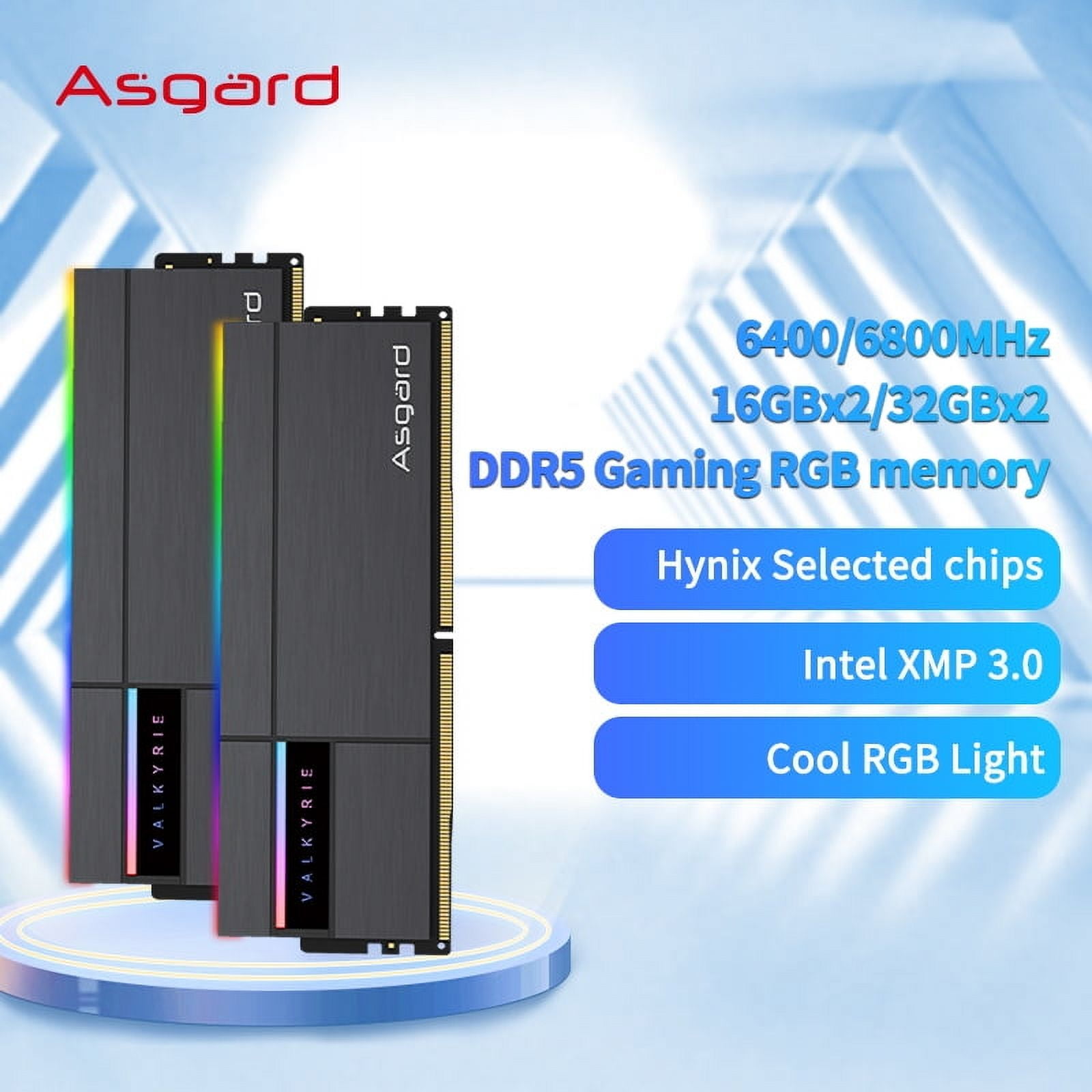 メモリー Asgard Valkyrie II DDR5 6000MHz CL28 32g DDR5 RAM ASGARD Valkyrie & TUF RGB Series 32GB (2x16GB