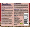 thumbnail image 2 of Tetra BloodWorms Freeze Dried Fish Food Treats, 2 of 6