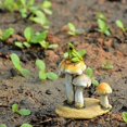 thumbnail image 2 of Top Collection Miniature Fairy Garden and Terrarium Statue, Frog on Mushrooms, 2 of 3