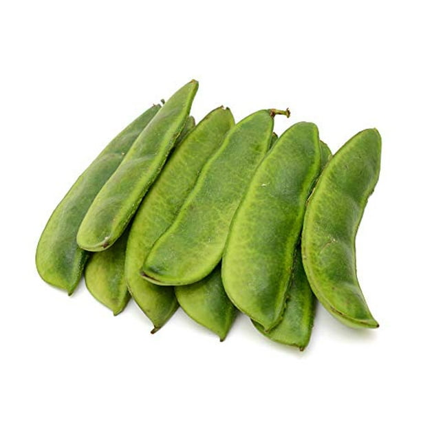 King of The Garden Lima Bean Seeds, 25 Heirloom Seeds Per Packet, Non