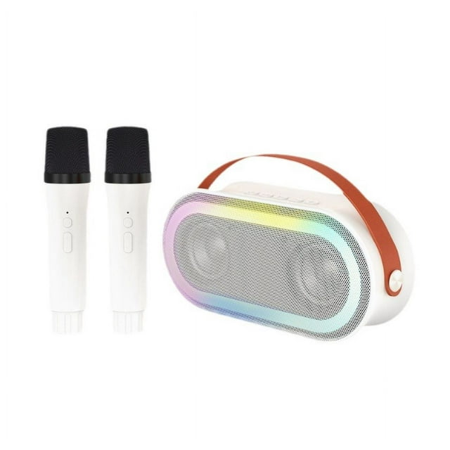 Mini Machine de Karaoké BT Haut-Parleur de Karaoké avec Microphones Sans Fil Éblouissant