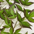thumbnail image 3 of Plegado y enviado desde el almacén Abanico de bambú Nandina de 16 cabezales simulado Bambú Nandina Rojo A06125 Seda/Alambre ANGGREK  Otros, 3 of 8