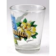 thumbnail image 3 of Louisiana Bayou State Elements Shot Glass, 3 of 3