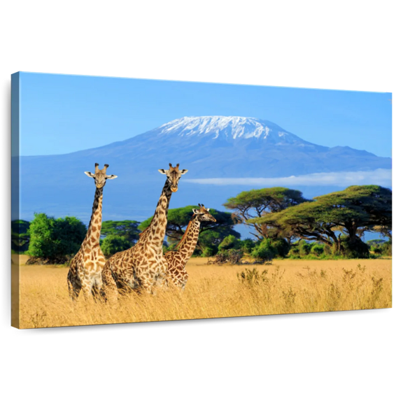 Elephant Stock Mount Kilimanjaro Giraffes Wall Art - Horizontal Canvas Wall Art - Living Room Wall Decor - Photography Animal Canvas - Blue And Green Decor - 12" x 8"