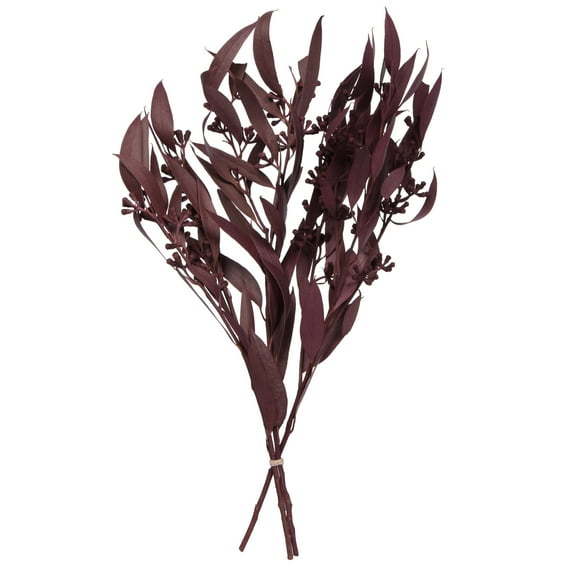 Vickerman Natural Botanicals 15-17" x 8" Natural Amber Fruit  Foliage - Brombeer