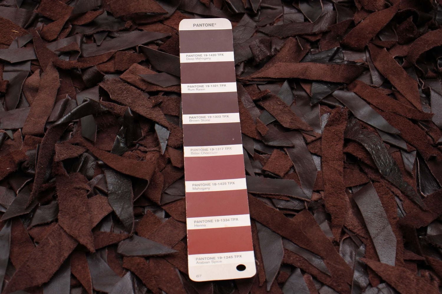 Tapis ECARPETGALLERY Timeless Brun 4'0" x 6'0"