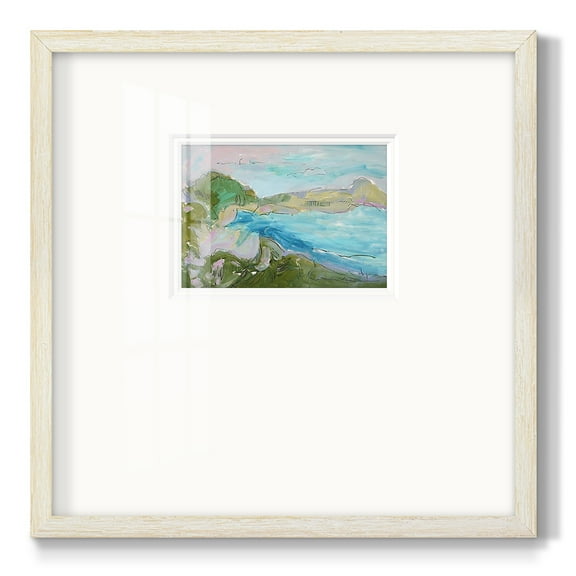 Landing StripPremium Framed Print