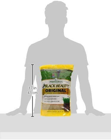 Jonathan Green 10318 Black Beauty Grass Seed Blend, Up to 1500 Sq.Ft, 5 Lbs