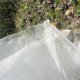 thumbnail image 3 of Red de protección contra insectos de malla fina para jardín, invernadero, plantas, frutas, flores, cultivos 6m * 2,5m 40 malla 1mm de diámetro del agujero, 3 of 5