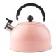 thumbnail image 2 of Whistling Kettle Agua caliente Té de té fuerte Alarma de la altura anti -caldera de calzoncillo Capacidad de 3 litros con de silbato para la, 2 of 8