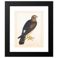 thumbnail image 2 of The Reverend Christopher Atkinson 20x24 Black Modern Framed Museum Art Print Titled - Together with a Portrait of a Hen Harrier, 2 of 5