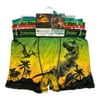 Jurassic World Boy's 4-Pack Moisture Wicking Athletic Fit Boxer Briefs (10)