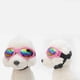 thumbnail image 4 of Gafas de sol para mascotas, gafas de sol para perros, protección ocular, gafas para mascotas, 4 of 5