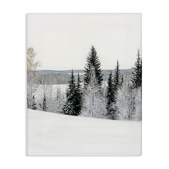 Stupell Industries Rustic Lodge Snowy Overlook Winter Landscape Canvas Art, 16 x 20, by Arlington Prints