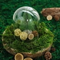 thumbnail image 2 of Efavormart 50g/Bag Green Preserved Natural Reindeer Moss Wedding Decoration Birthday Party Arrangement, 2 of 10