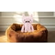 thumbnail image 5 of Juguete de peluche Fuggler Butt Ugly Pets 22 cm Serie 1 Uncladimir Tootin, 5 of 8
