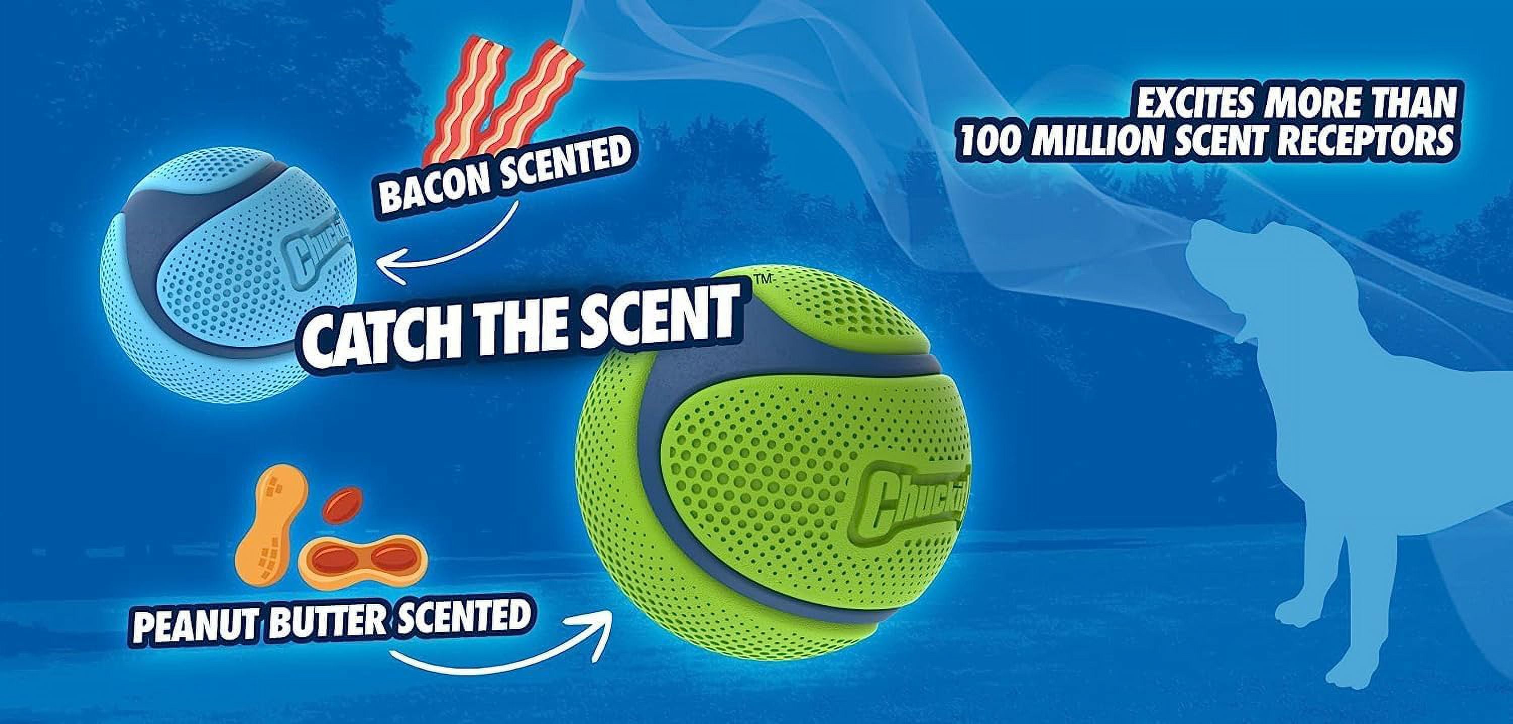 Chuckit! Sniff Fetch Ball Durable High Bounce Rubber Dog Toy, Peanut Butter & Bacon Scented, Medium 2.5" for Dogs 20 to 60 lb, Blue, Green & Blue, Pack of 2