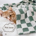 thumbnail image 4 of HOMRITAR Checkered Baby Blanket for Boys Sage Green Fluffy Fuzzy Blankets with 3D Chessboard Grid, Warmer Comfort Reversible Lightweight Bed Blanket for Toddlers Infant or Newborn 30 x 40 Inch C29, 4 of 7
