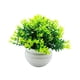 thumbnail image 3 of Adorno en maceta de flores falsas, decoración de bonsái Artificial, forma semiesférica pequeña, plantas falsas, bonsái de imitación para interior y Verde, 3 of 9