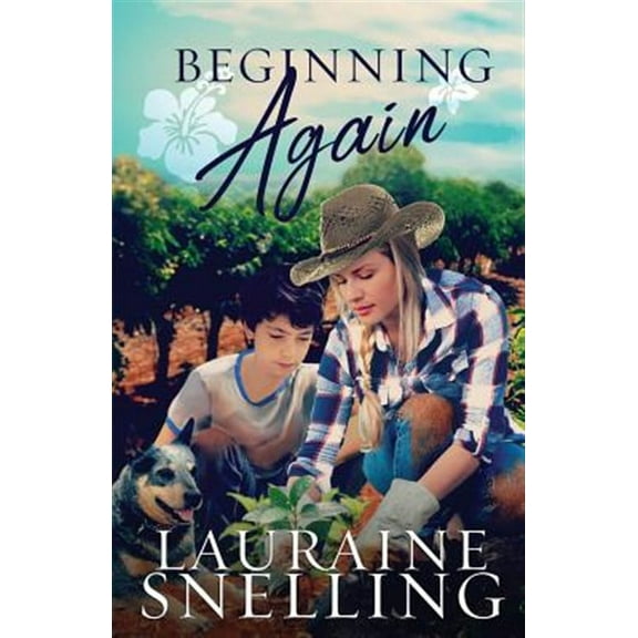 Beginning Again (Paperback)