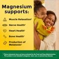 thumbnail image 4 of Nature Made High Absorption Magnesium Citrate 200 mg per Serving Gummies, 64 Count, 4 of 10
