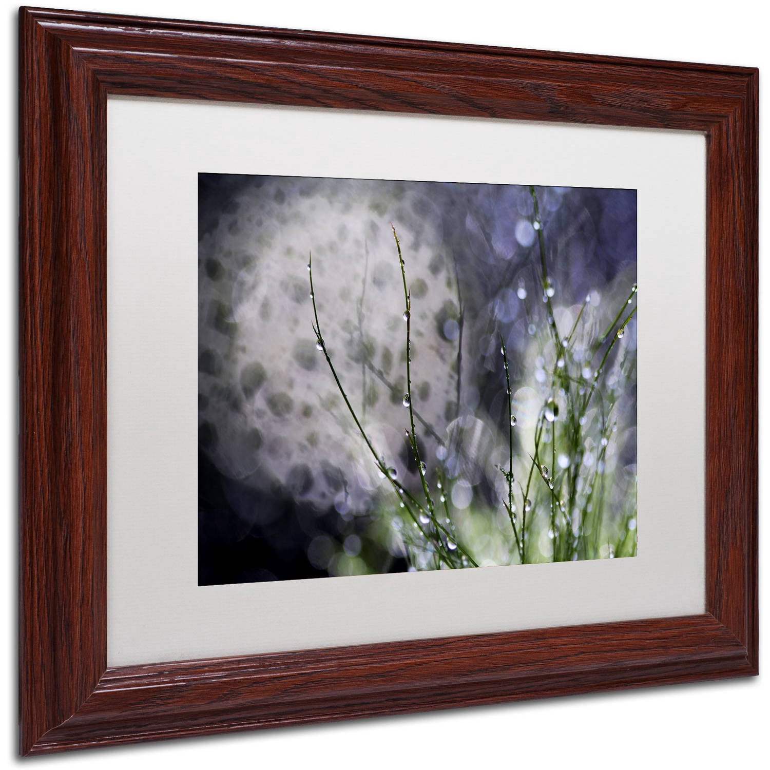 Trademark Fine Art "Morning Tale" Canvas Art by Beata Czyzowska Young, White Matte, Wood Frame