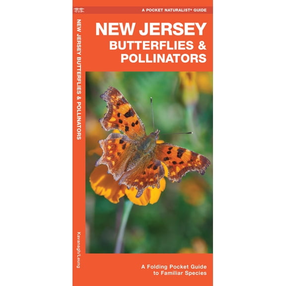 New Jersey Butterflies & Pollinators : A Folding Pocket Guide to Familiar Species (Paperback)
