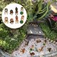 thumbnail image 3 of 8pcs Mini Squirrel Figurines Tiny Animal Statue Moss Micro Landscape Decor, 3 of 3