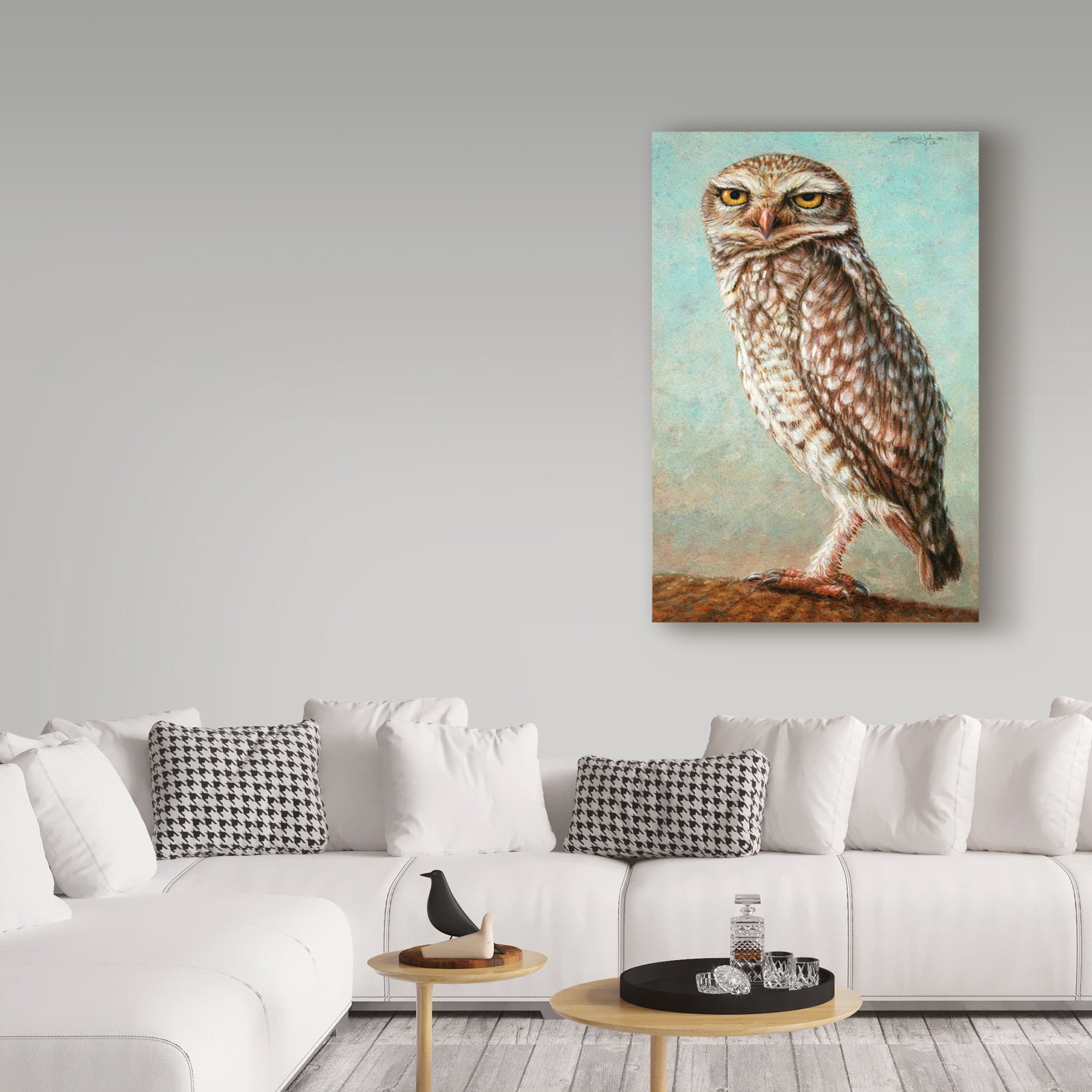 Trademark Fine Art 'Burrowing Owl' Canvas Art by James W. Johnson