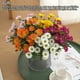 thumbnail image 2 of Flores Artificiales Yuarrent 5 Piezas Seda 31 cm Decoración, 2 of 6