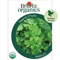 Burpee Organic Gigante D'Italia Parsley Herb Seed, 1-Pack, Full Sun, Annual