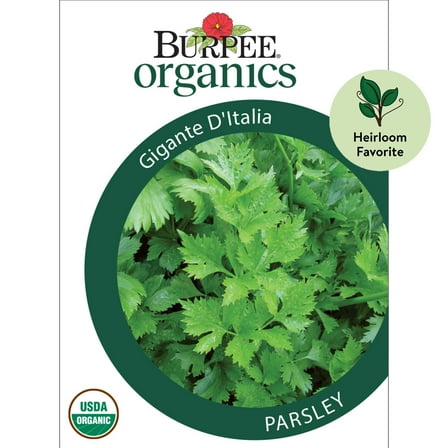 Burpee Organic Gigante D'Italia Parsley Herb Seed, 1-Pack, Full Sun, Annual