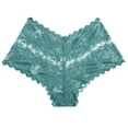 thumbnail image 2 of LWITHSZG Lace Underwear for Women See Through Mesh Briefs No Show Seamless Underpants Soft Stretch Breathable Ladies Panties S-XL, 2 of 6