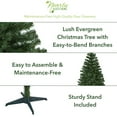 thumbnail image 3 of 5ft. Northern Tip Pine Artificial Christmas Tree, 3 of 7