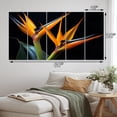 thumbnail image 4 of Designart "Flowers Amidst the Birds of Paradise II" Floral Metal Wall Decor Set, 4 of 5