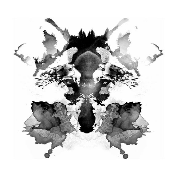 Trademark Fine Art Robert Farkas Rorschach Canvas Wall Art - 14x14