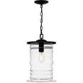 thumbnail image 6 of Quoizel Noland 1-Light Matte Black Outdoor Hanging Lantern, 6 of 6