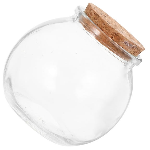 VERDANVERSE 2Pcs Creative Wishing Bottles with Cork for Family and Friends present