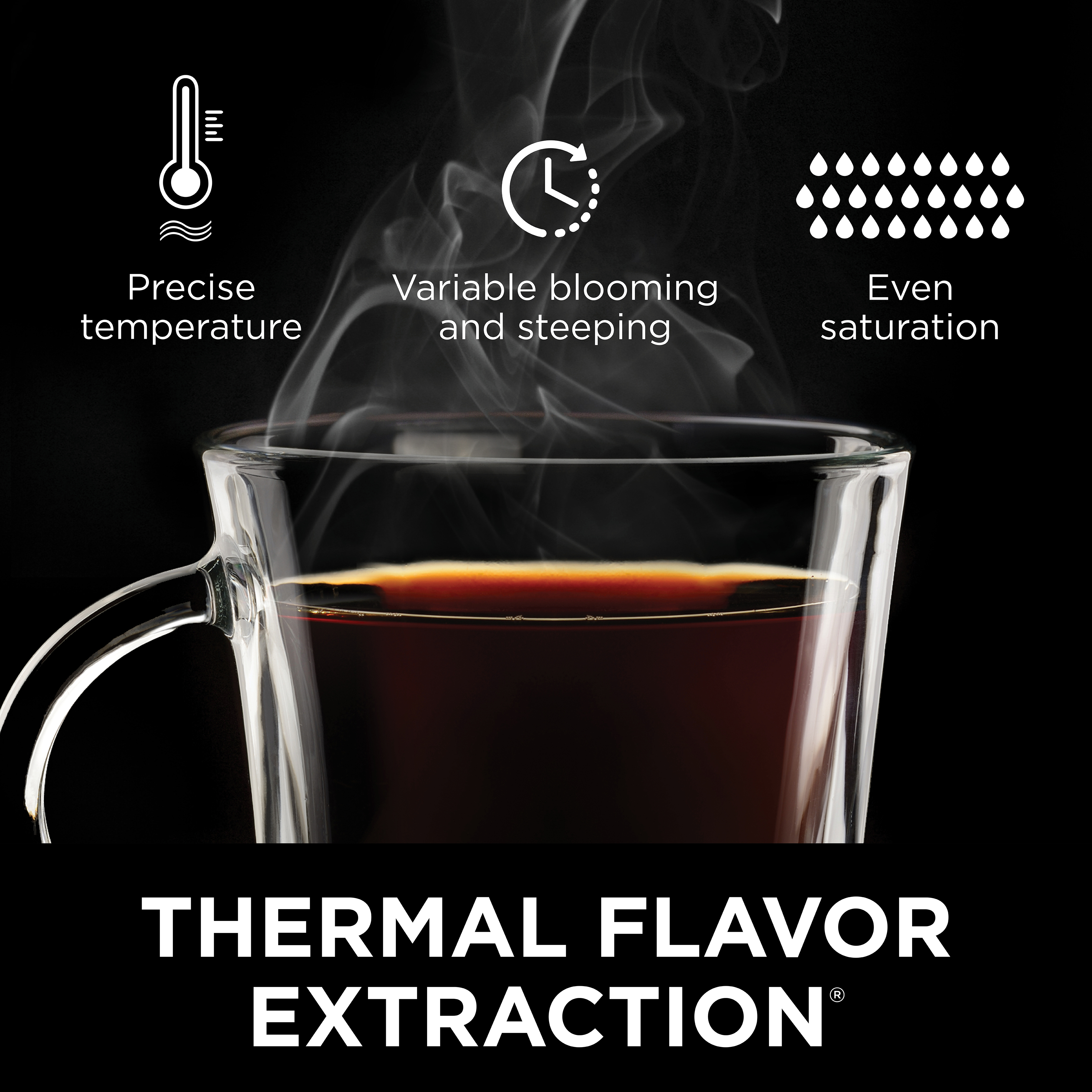 Ninja Hot and Cold Brew System Coffee 