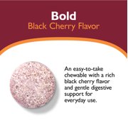 Celebrate Vitamins CelebrateONE 18 Once Daily Bariatric Multivitamin with Iron Chewables, 18 mg of Iron, Black Cherry, 90 count
