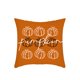 thumbnail image 1 of Sofás para la Sala de Estar Sofá de Acción de Gracias Funda de Almohada de Calabaza Funda de Almohada de Calabaza Blanco Naranja de Otoño Cubierta de Cojín Regalo de Vacaciones Adecuado para la Sala D, 1 of 6