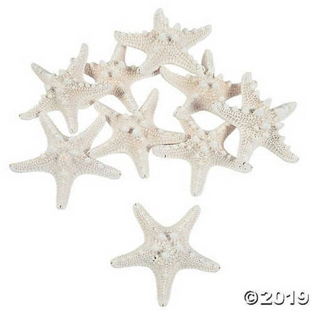 Natural Bleached Philippine Starfish (Best Body Bleaching Products Philippines)