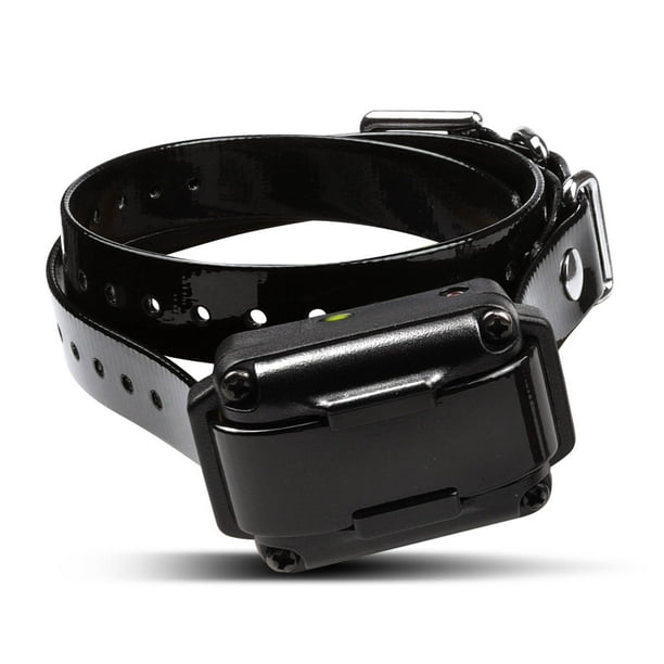 Dogtra iQ Plus Electronic Training Dog Collar with Remote for Dogs 10 Pounds Walmart
