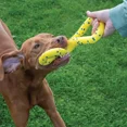 thumbnail image 5 of Zeus Nitro Dog Toy Bundle, 3-pack, 5 of 5