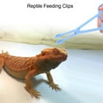thumbnail image 2 of Terrario de plástico para reptiles, lagartos, tortugas, pinzas, pinzas, herramienta de alimentación para cría de mascotas, 2 of 11